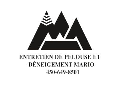 Lawn care and snow removal Mario